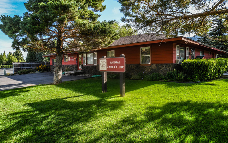 Prugh Real Estate LLC Jackson Hole WY Realtor